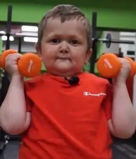 💪 Hasbulla Magomedov Hasbulla, palestra, manubrio, fitness, esercizio telegram sticker