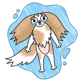😭 hond, huilen, verdrietig, illustratie, dier whatsapp sticker