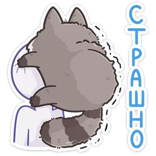 😬 СТРАШНО szop pracz, kreskówka, strach, przestraszony, zwierzę, naklejka, rosyjski whatsapp sticker