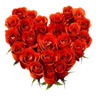 💐 розы, форма сердца, цветы, любовь, романтика, день святого валентина telegram sticker