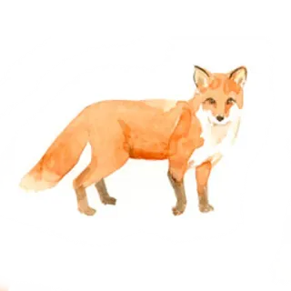 🦊 狐狸, 动物, 野生动物, 自然, 可爱, 水彩, 贴纸 telegram sticker