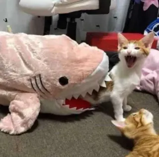 🐟 猫, サメ, ぬいぐるみ, 子猫, 動物, かわいい, ペット telegram sticker
