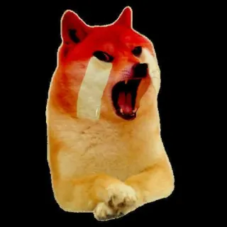 🤬 Doge doge, huilen, verdrietig, meme, hond telegram sticker