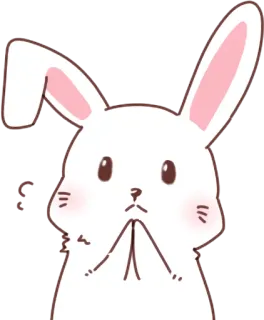 🙏 conejo, conejito, lindo, animal, dibujo animado whatsapp sticker