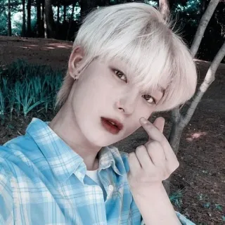 🌸 ภาพเหมือน, คน, ผู้ชาย, kpop, มินิฮาร์ท, ผมบลอนด์, สุนทรียศาสตร์ telegram sticker