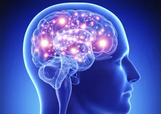 🤔 brain, mind, intelligence, thought, consciousness, science, neurology, anatomy telegram sticker