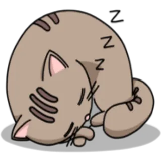 😴 Z gatto, dormire, cartone animato, carino, animale whatsapp sticker