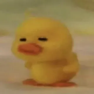 🤜 duck, yellow, cute, bird, animal whatsapp sticker