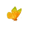 🦋