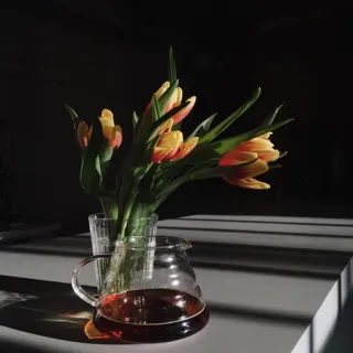 💐 tulipas, flores, natureza morta, chá, buquê, vidraria, mesa, sombras whatsapp sticker