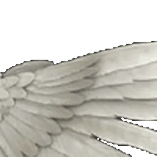 ⭐