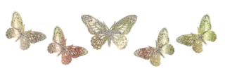 @gifsandimages  🦋Butterfly🦋 — @stckrRobot telegram stickers