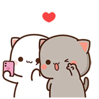 ✌ katzen, liebe, paar, peachcat, selfie telegram sticker