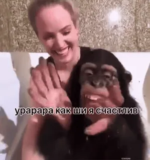 🌟 урарара как ши я счастлив monkey, happy, woman, chimpanzee, animal telegram sticker