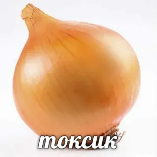 ☢️ токсик 양파, 음식, 채소, 유독한, 웃긴 telegram sticker