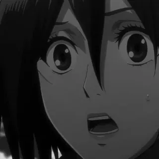 🗡 Mikasa Ackerman Attack on Titan Anime, Ataque dos Titãs, Mikasa Ackerman, Medo, Preocupado, Choque telegram sticker
