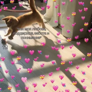 🩰 вся моя любовь, поддержка, забота и понимание Katze, Liebe, Herzen, süß, Kätzchen, russisch whatsapp sticker