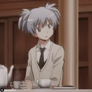 🌀 Nagisa Shiota Assassination Classroom Anime, Nagisa Shiota, Assassination Classroom, Personagem, Menino, Chá whatsapp sticker