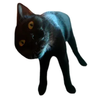 🥴 gato, negro, mascota, animal, mamífero, doméstico telegram sticker