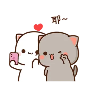 ❤️ 耶~ imut, kucing, cinta, selfie, hewan, animasi telegram sticker