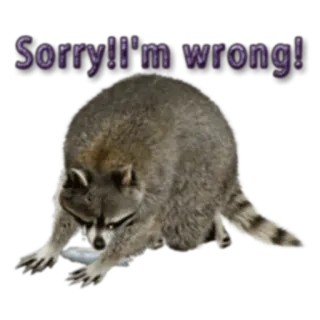 Naughty Raccoon (FULL) [English] @Woshizharbor telegram stickers