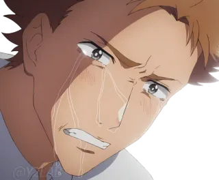 😭 плач, грустный, аниме, эмоциональный, слезы telegram sticker