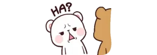 😕 HA? oso, mono, sticker, pregunta, confundido whatsapp sticker