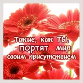 🌷 Такие, как ты, портят мир своим присутствием fleurs, texte, citation, insulte, monde telegram sticker