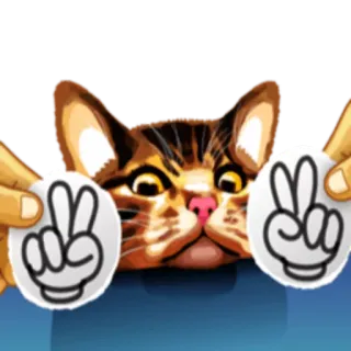✌ кот, знак мира, наклейка, животное, рука, мир whatsapp sticker