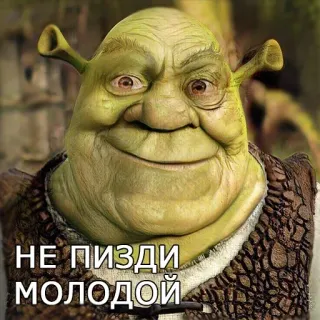 🧙‍♂ Shrek НЕ ПИЗДИ МОЛОДОЙ オーガ, ドリームワークス, ミーム, シュレック, キャラクター telegram sticker