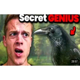 🦜 Mike Holston Secret GENIUS whatsapp sticker
