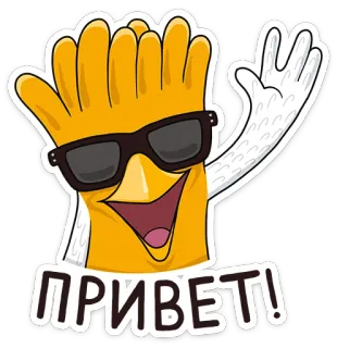 👋 ПРИВЕТ! saudação, frango, acenando, óculos de sol whatsapp sticker