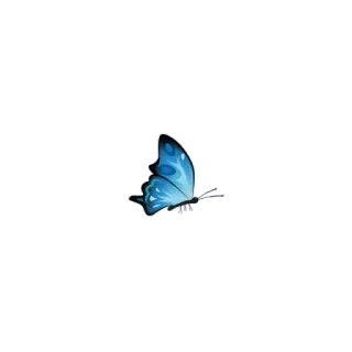 🦋 vlinder, blauw, natuur, insect telegram sticker