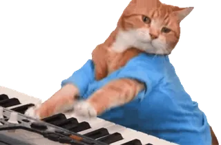 🎹 cat, keyboard, piano, music, animal, pet, cute telegram sticker