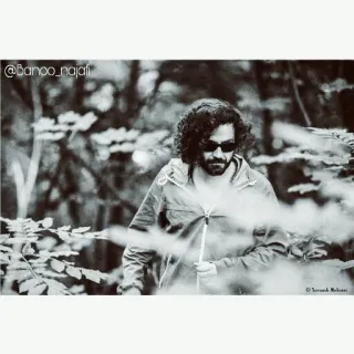 💛 @banoo_najafi person, man, sunglasses, outdoor, nature, portrait, black and white telegram sticker