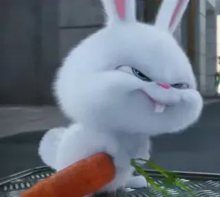 🐇 Snowball The Secret Life of Pets thỏ, trắng, cà rốt, dễ thương, động vật telegram sticker