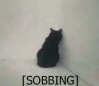 😢 SOBBING gatto, singhiozzo, piangere, triste, meme, animale telegram sticker
