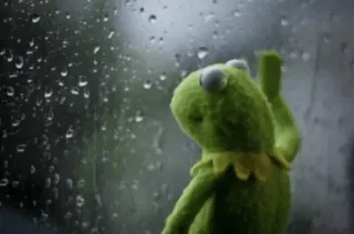😢 Kermit the Frog frog, kermit, muppets, sad, rain telegram sticker