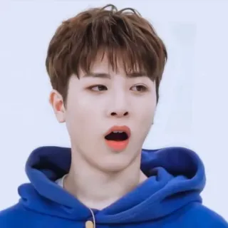 😮 uomo, kpop, asiatico, cantante, ritratto, felpa con cappuccio whatsapp sticker