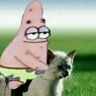 ✨ Patrick Star 뚱이, 고양이, 스폰지밥, 만화, 웃긴, 밈 telegram sticker