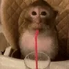 🥺