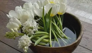 🍃 flowers, tulips, white tulips, floral, arrangement, spring, hyacinth, wooden bowl telegram sticker