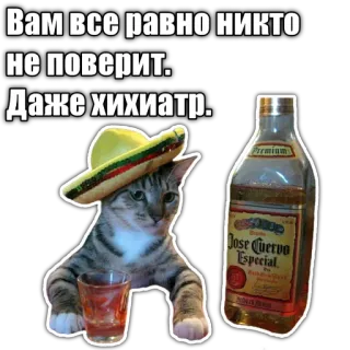🍺 Вам все равно никто
не поверит.
Даже хихиатр.
Premium
1
Jose Cuervo
Especial
1 cat, sombrero, tequila, drinking, alcohol, meme telegram sticker