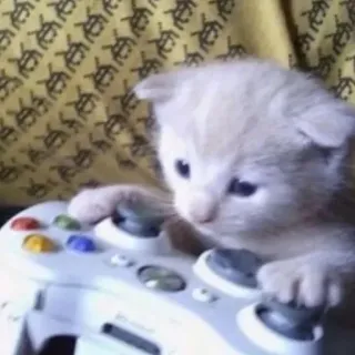 🌟 cat, kitten, video game, xbox controller, animal, cute telegram sticker