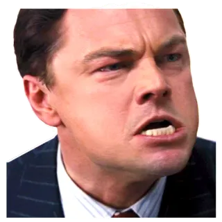 😊 Leonardo DiCaprio actor, enojado, meme, leonardo, dicaprio, gracioso whatsapp sticker