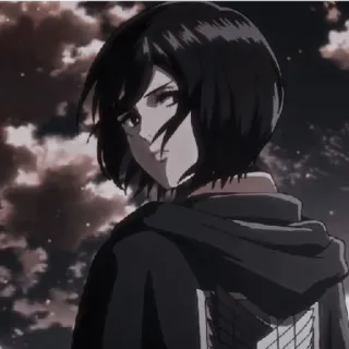 😁 Mikasa Ackerman Attack on Titan 动漫, 进击的巨人, 三笠·阿克曼, 角色, 进击 whatsapp sticker