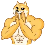 🤲 Doge Doge, Meme, Gespierd, Spieren, Humor, Internet whatsapp sticker