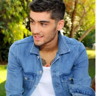 👑 Zayn Malik Person, Mann, Musiker, Sänger, Promi telegram sticker
