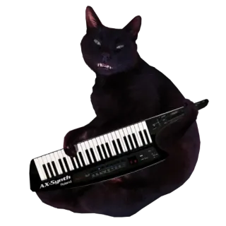🐱 AX-Synth Roland 고양이, 신디사이저, 롤랜드, 키보드, 음악, 악기, 동물 telegram sticker