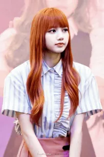 🍁 Lisa persona, donna, kpop, cantante, celebrità, Lisa, Blackpink telegram sticker
